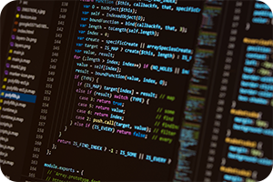 ソフトウェア開発